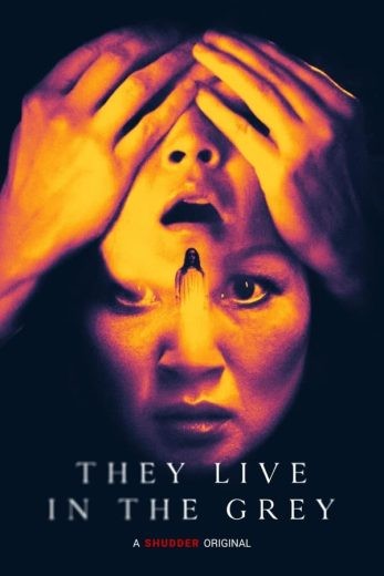  مشاهدة فيلم They Live in the Grey 2022 مترجم