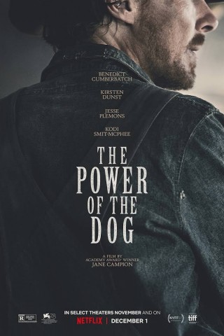 فيلم The Power of the Dog 2021 مترجم فيلم The Power of the Dog 2021 مترجم