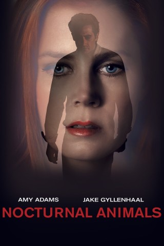 فيلم Nocturnal Animals 2016 مترجم