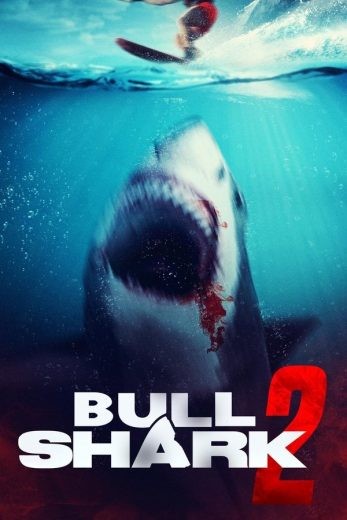 مشاهدة فيلم Bull Shark 2 2024 مترجم مشاهدة فيلم Bull Shark 2 2024 مترجم