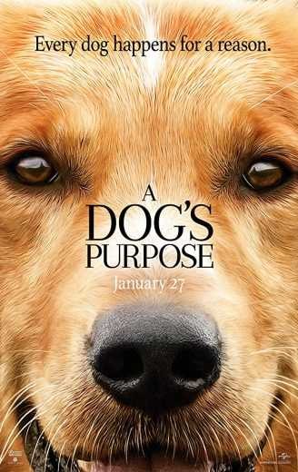  مشاهدة فيلم A Dog’s Purpose 2017 مترجم