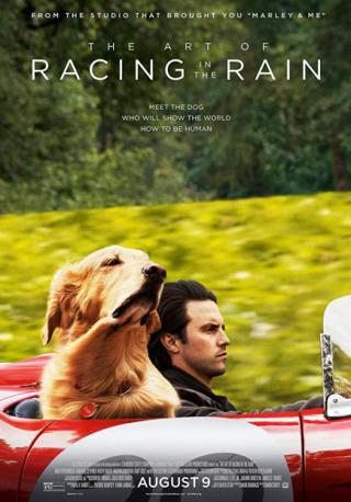 فيلم The Art of Racing in the Rain 2019 مترجم